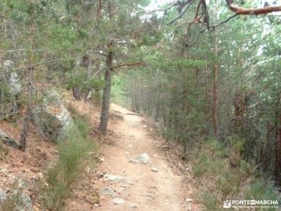 Reto senderismo-Cara Sur de la Maliciosa; viajes octubre excursiones sierra madrid rutas senderismo 